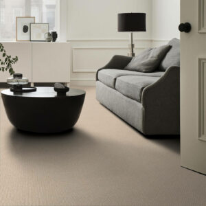 20201124_ANDERSONTUFTEX_CARPET_LIVINGROOM2_ZZ035_00223