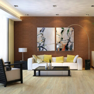 Flooring | Carpet Outlet Plus