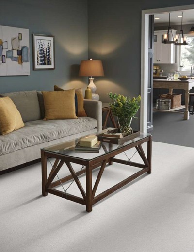 Bellera-Basic-Rules-by-Shaw | Carpet Outlet Plus