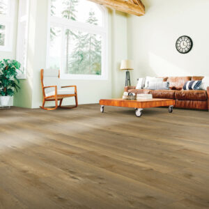 Spacious living room | Carpet Outlet Plus