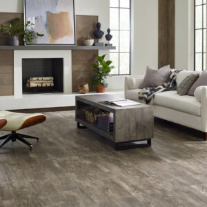 Paramount-Plus | Carpet Outlet Plus