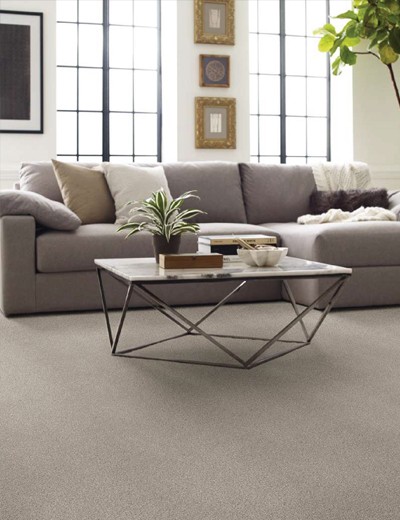 Shaw-Shoreline-Haze Shaw-Shoreline-Haze | Carpet Outlet Plus