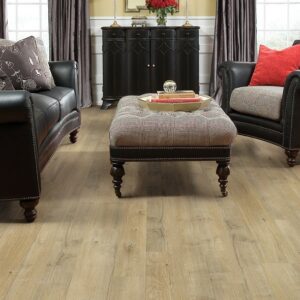 Living room flooring