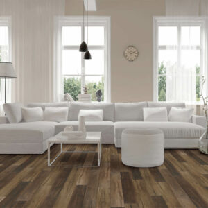 couch vinyl | Carpet Outlet Plus