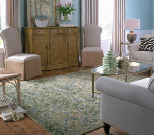 karastan-rug | Carpet Outlet Plus