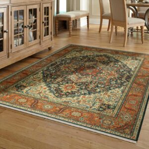 karastan_maharajah_room | Carpet Outlet Plus