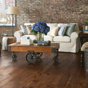 Hardwood Flooring | Carpet Outlet Plus