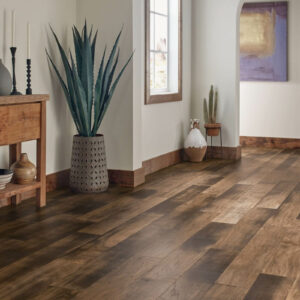 Hardwood Flooring | Carpet Outlet Plus