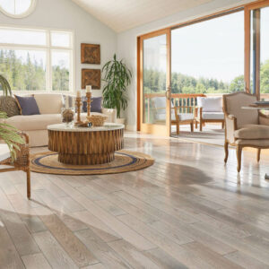 Hardwood Flooring | Carpet Outlet Plus