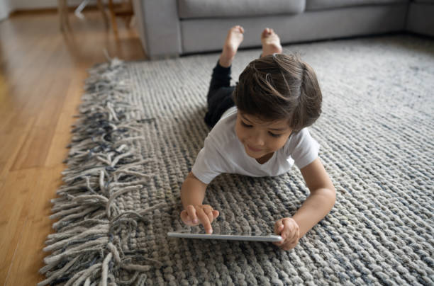 Area rug | Carpet Outlet Plus