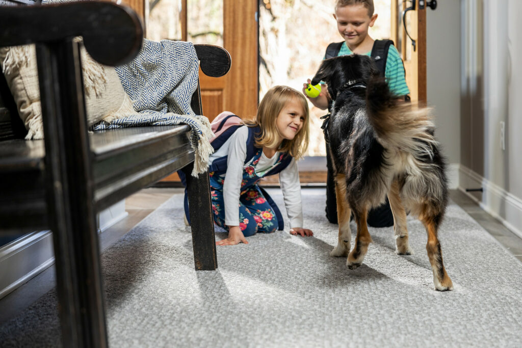 Pet friendly carpet | Carpet Outlet Plus