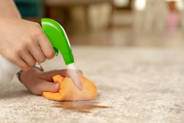 Carpet stains cleaning | Carpet Outlet Plus