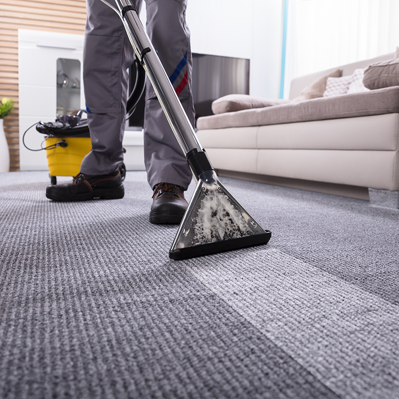 Carpet cleaning | Carpet Outlet Plus