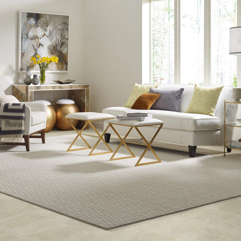 Area rug | Carpet Outlet Plus