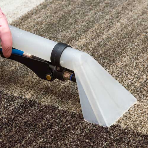 Carpet cleaning | Carpet Outlet Plus