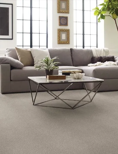 Shaw-Shoreline-Haze | Carpet Outlet Plus