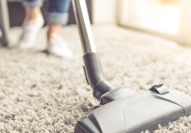 Carpet Care Carpet Care | Carpet Outlet Plus