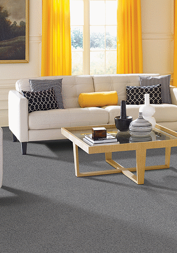NICE CARPET | Carpet Outlet Plus