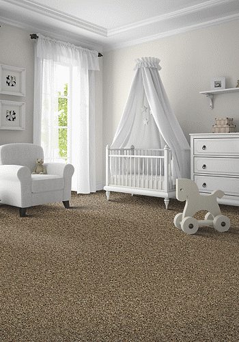CARPET ROOM | Carpet Outlet Plus