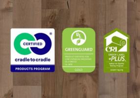 creating-greener-home-sustainable-hardwood-carpet