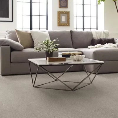 Shaw-Shoreline-Haze | Carpet Outlet Plus